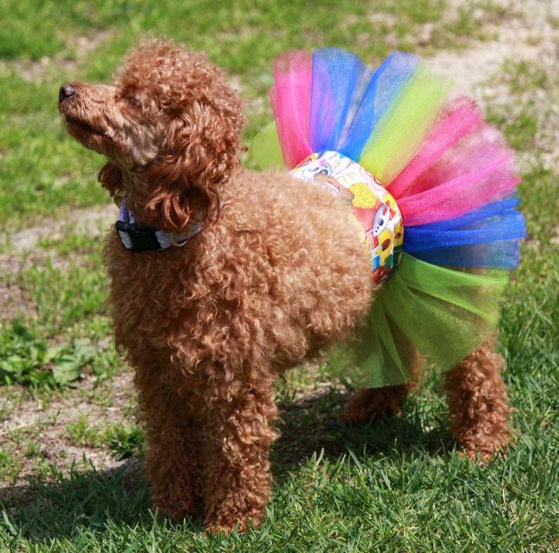Funny Dog Skirt Large Dog Tutu Small Dog Tutu Dress Dog Etsy
