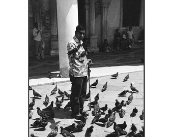 Blinder Mann füttert Tauben, Venedig, signierter Kunstdruck / Schwarz-Weiß-Fotografie / Venedig-Taubenfoto