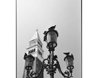 Palomas, Plaza de San Marcos, Venecia, Impresión de arte firmada / Fotografía en blanco y negro / Foto de la ciudad de Venecia
