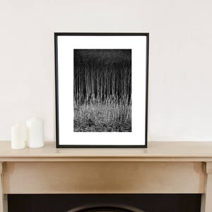 Stubble, Suffolk Signed Black and White Fine Art Print / Crops Photography / Rapeseed Photo image 4