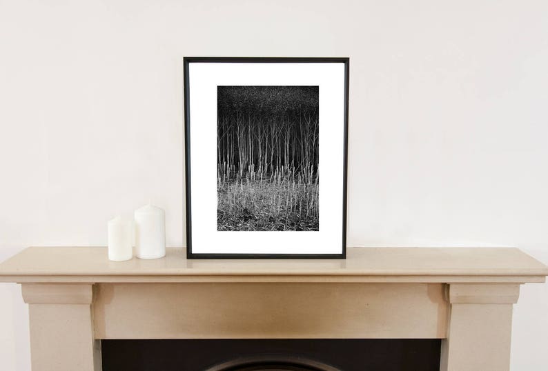 Stubble, Suffolk Signed Black and White Fine Art Print / Crops Photography / Rapeseed Photo image 4