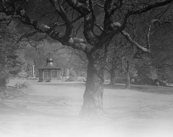 Weston Park, Sheffield, impression d'art en noir et blanc signée / Sheffield Photography / Photo d'arbre