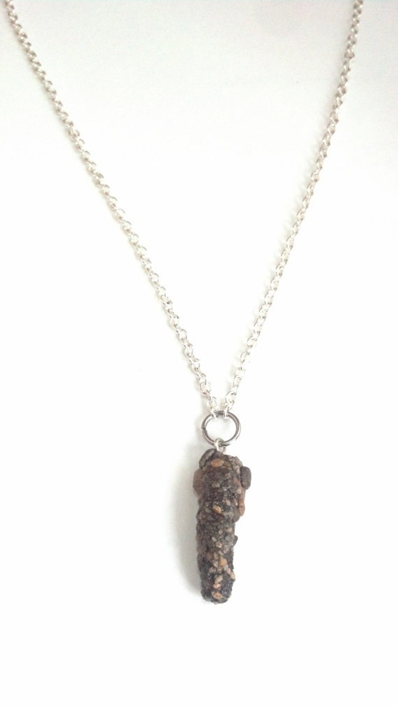 Necklace With Caddisfly Case Pendant and Silverfinished Steel Chain Etsy