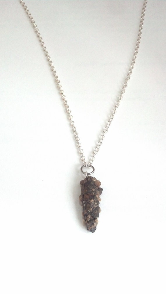 Necklace With Caddisfly Case Pendant and Silverfinished Steel Chain Etsy