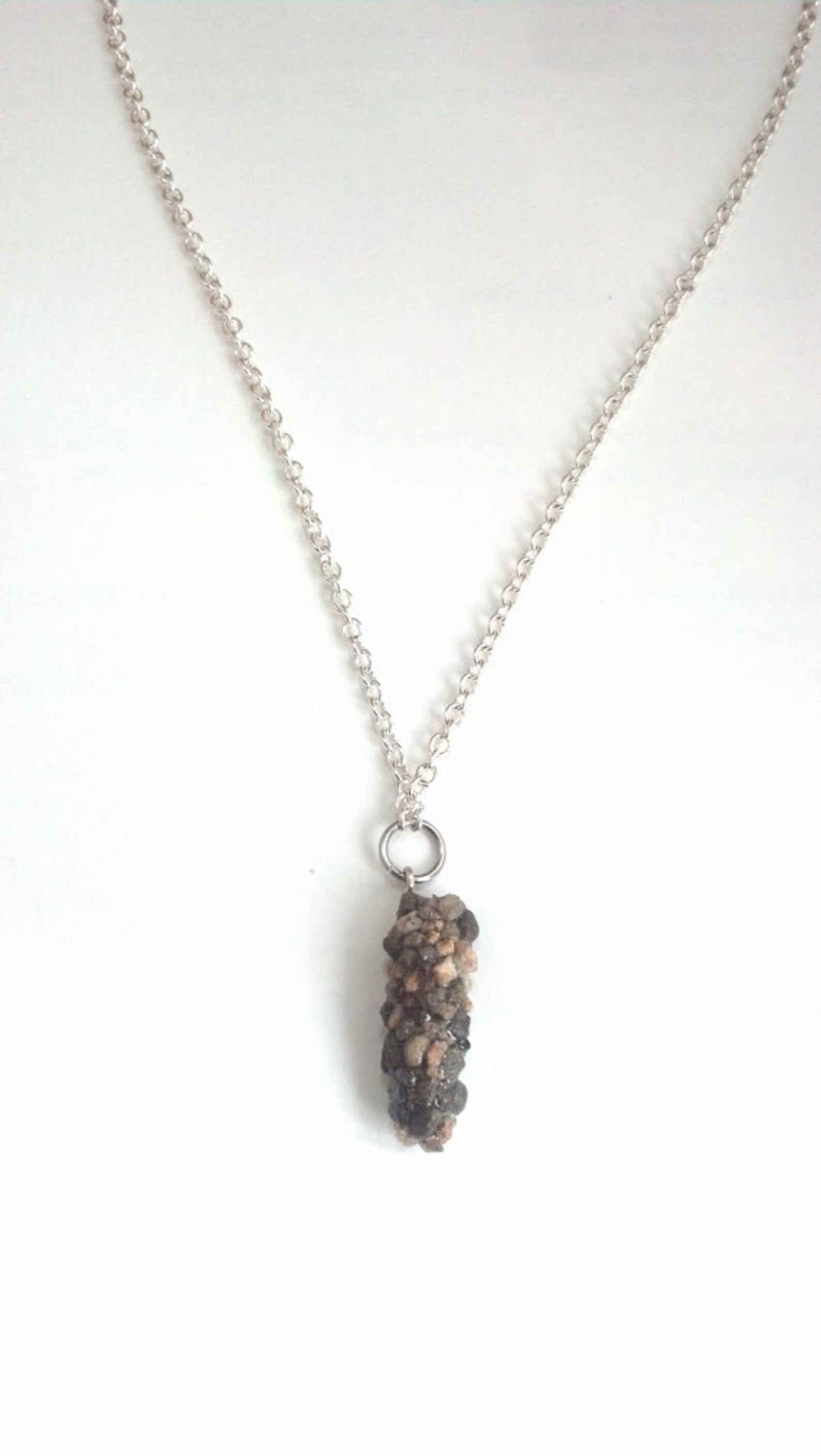 Necklace With Caddisfly Case Pendant and Silverfinished Steel Chain Etsy