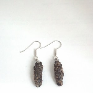 Earrings with stone caddisfly case pendant and stainless steel wires