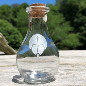 May include: A clear glass bottle with a cork stopper and a white horseshoe design etched on the front. The bottle is sitting on a wooden surface.