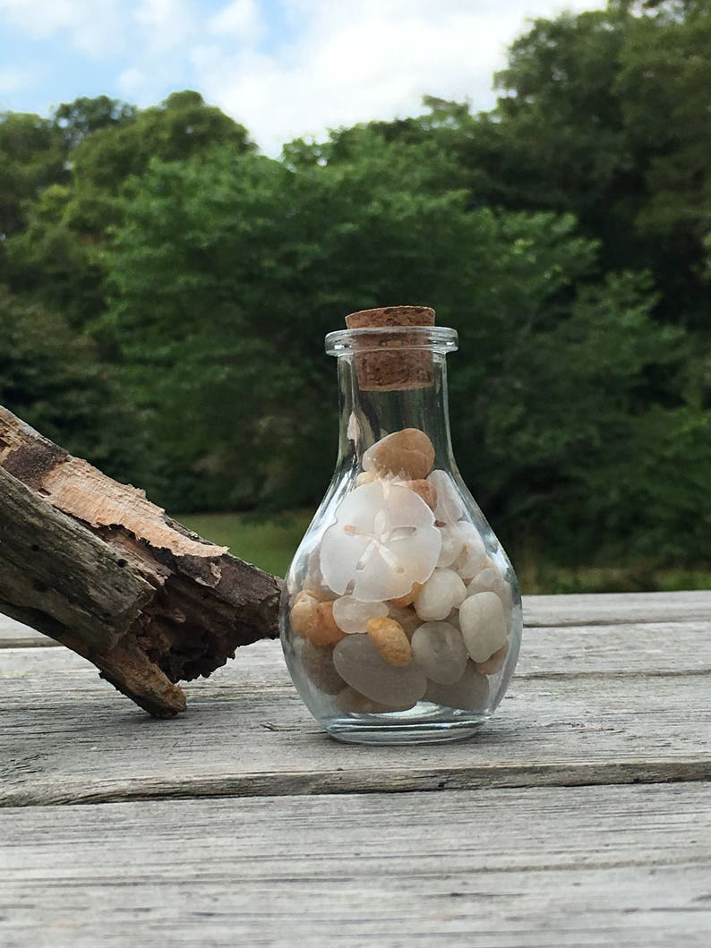 Sand Dollar Etched Keepsake Bottle Etsy