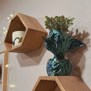 May include: Two hexagonal wooden shelves mounted on a wall. The top shelf has a teal green goblin head planter with a small green plant. The bottom shelf has a black candle with a gold lid and a Hogwarts logo.