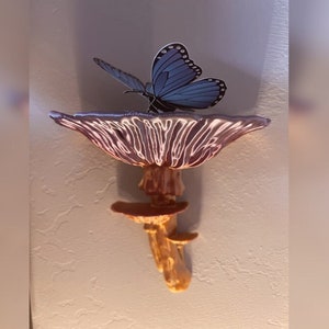 3D Printed Cottage Core Witchy Fungi Mushroom Wall Shelf “AMANITA FUNGUS”