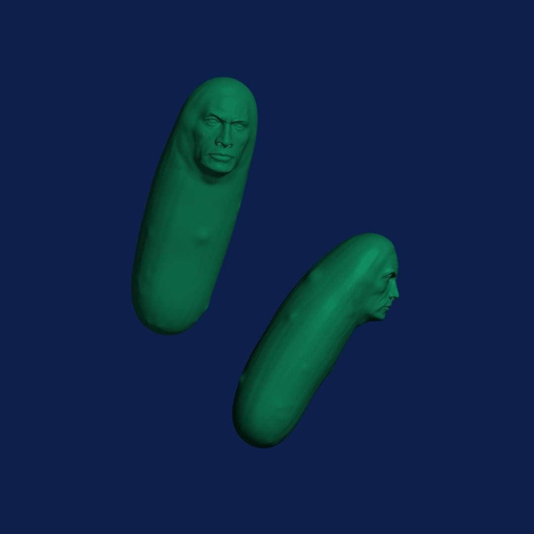 3D Printed Rockle Rock Pickle - Etsy