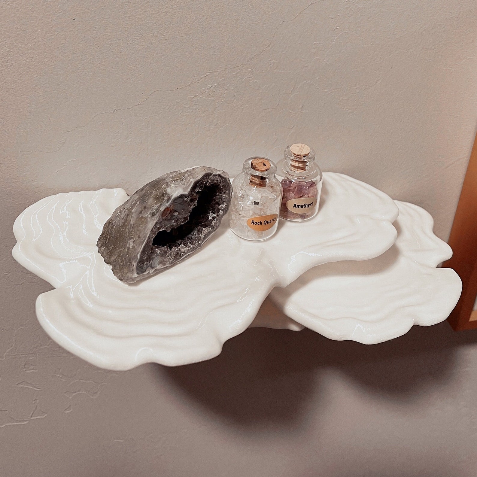 3D Printed Cottage Core Witchy Fungi Mushroom Wall Shelf “OSTREA FUNGUS ...