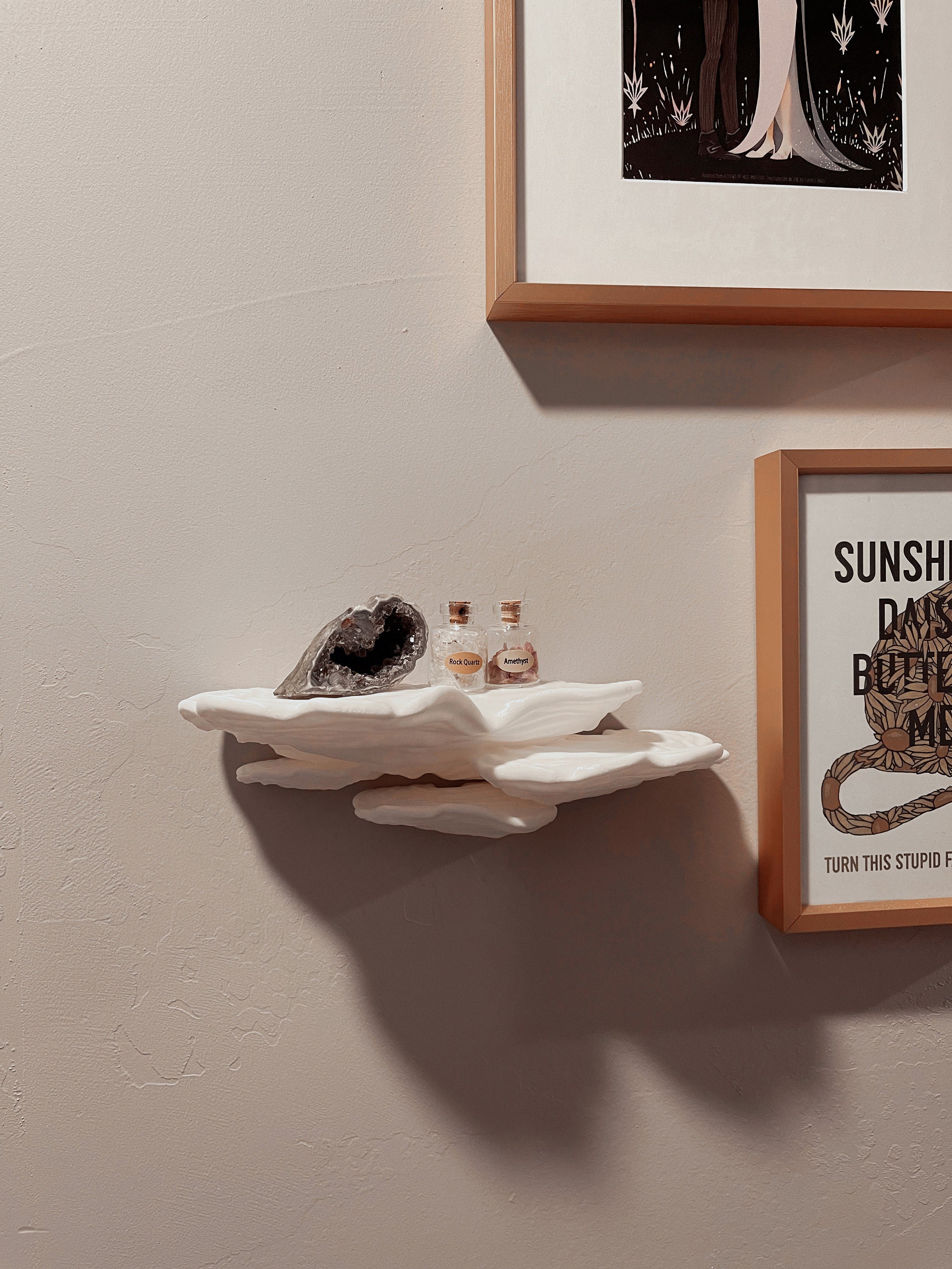 3D Printed Cottage Core Witchy Fungi Mushroom Wall Shelf “OSTREA FUNGUS ...