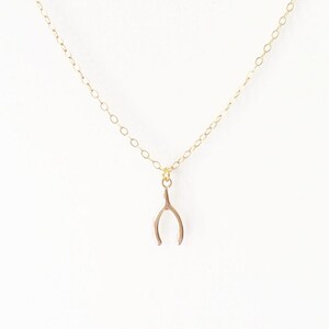 Tiny 14k Gold Filled Wishbone Necklace