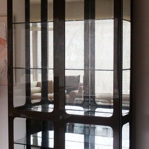 Lacquer Sculptural Illuminated Glass Etagere Storage Cabinet image 4