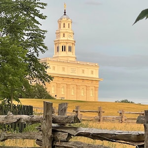 May include: A white, steeple-shaped building with a clock tower and a golden statue on top. The building is surrounded by a wooden fence and a field of tall grass.