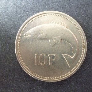 1993 Eire (Ireland Republic) 10p (Ten Pence) coin the smaller version featuring a Salmon and a Harp, ideal for craft or jewellery making 10p