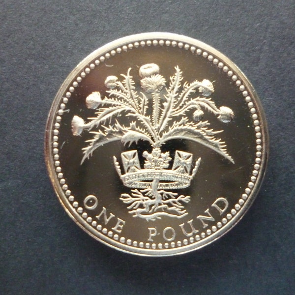 United Kingdom Royal Mint 1984 nickel brass proof condition one pound coin capsuled featuring the Scottish Thistle in a Coronet.