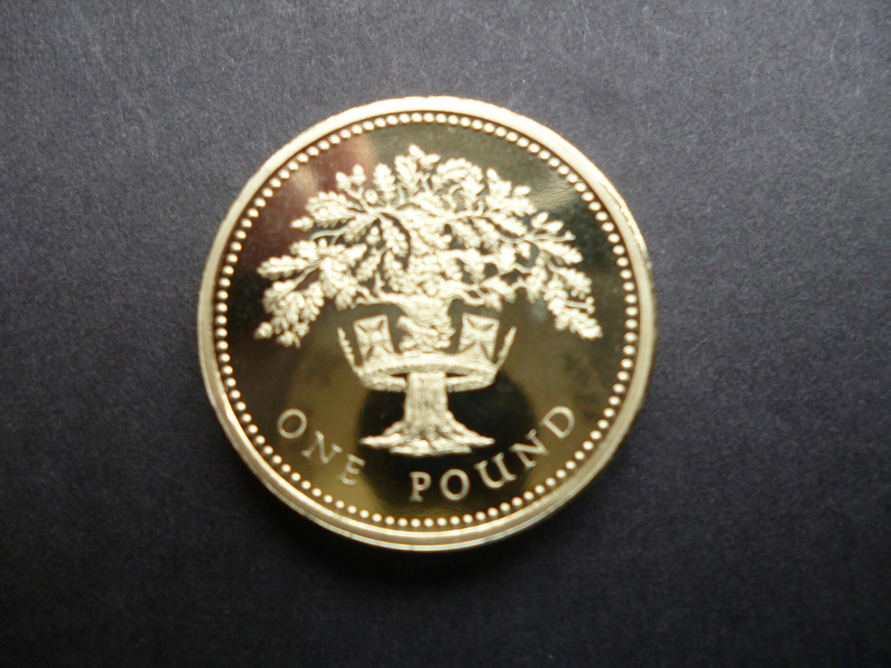 イギリス　1ポンド　ピエフォー　1988年 イギリス旧1ポンド硬貨2000年版特別デザイン（Dragon