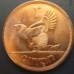May include: A copper-colored Irish coin with a hen and chicks design. The coin has the inscription "1d" and "Pingin" on it.
