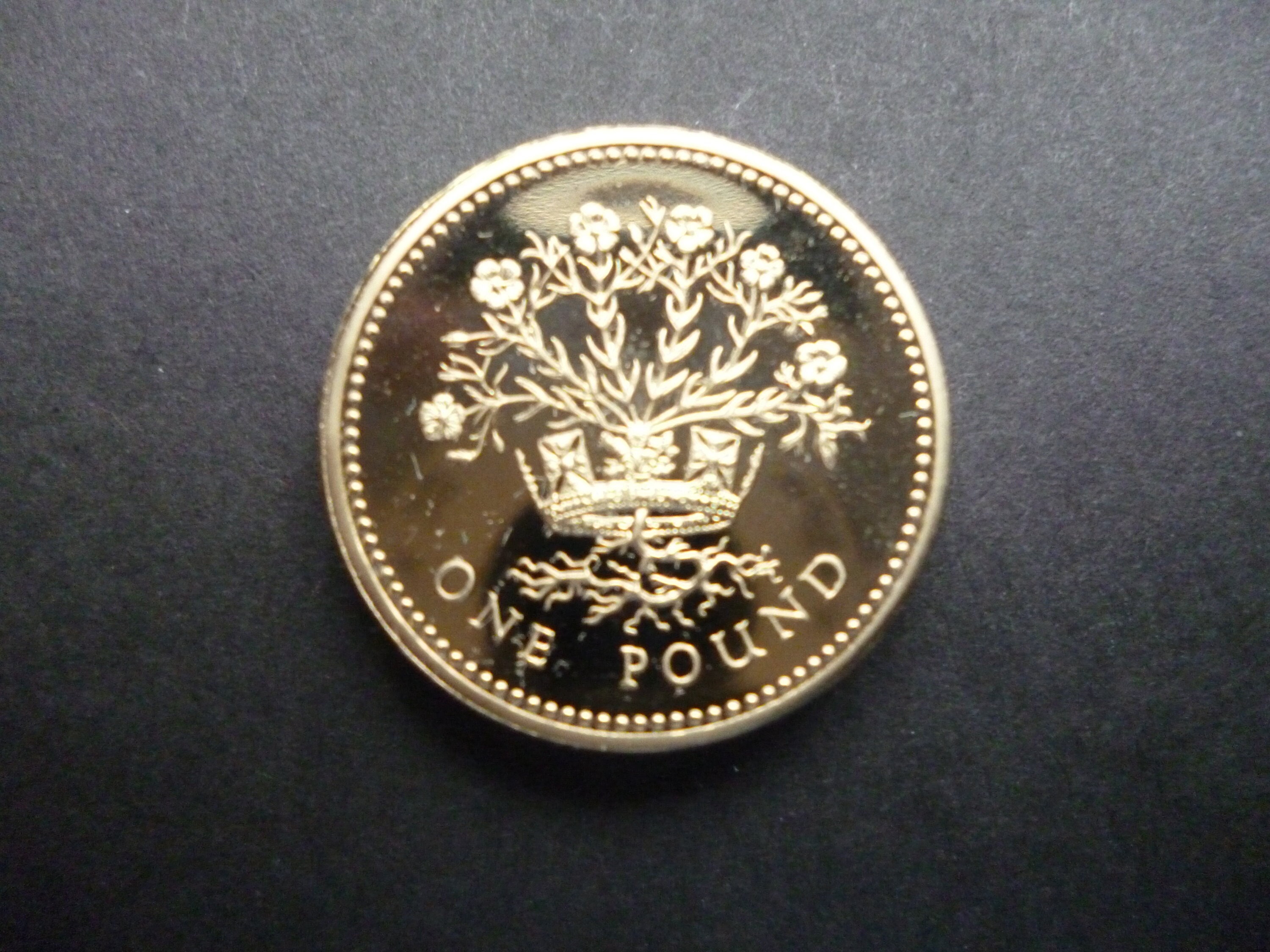 1991年英国1ポンド硬貨：北アイルランドの亜麻、エリザベス女王