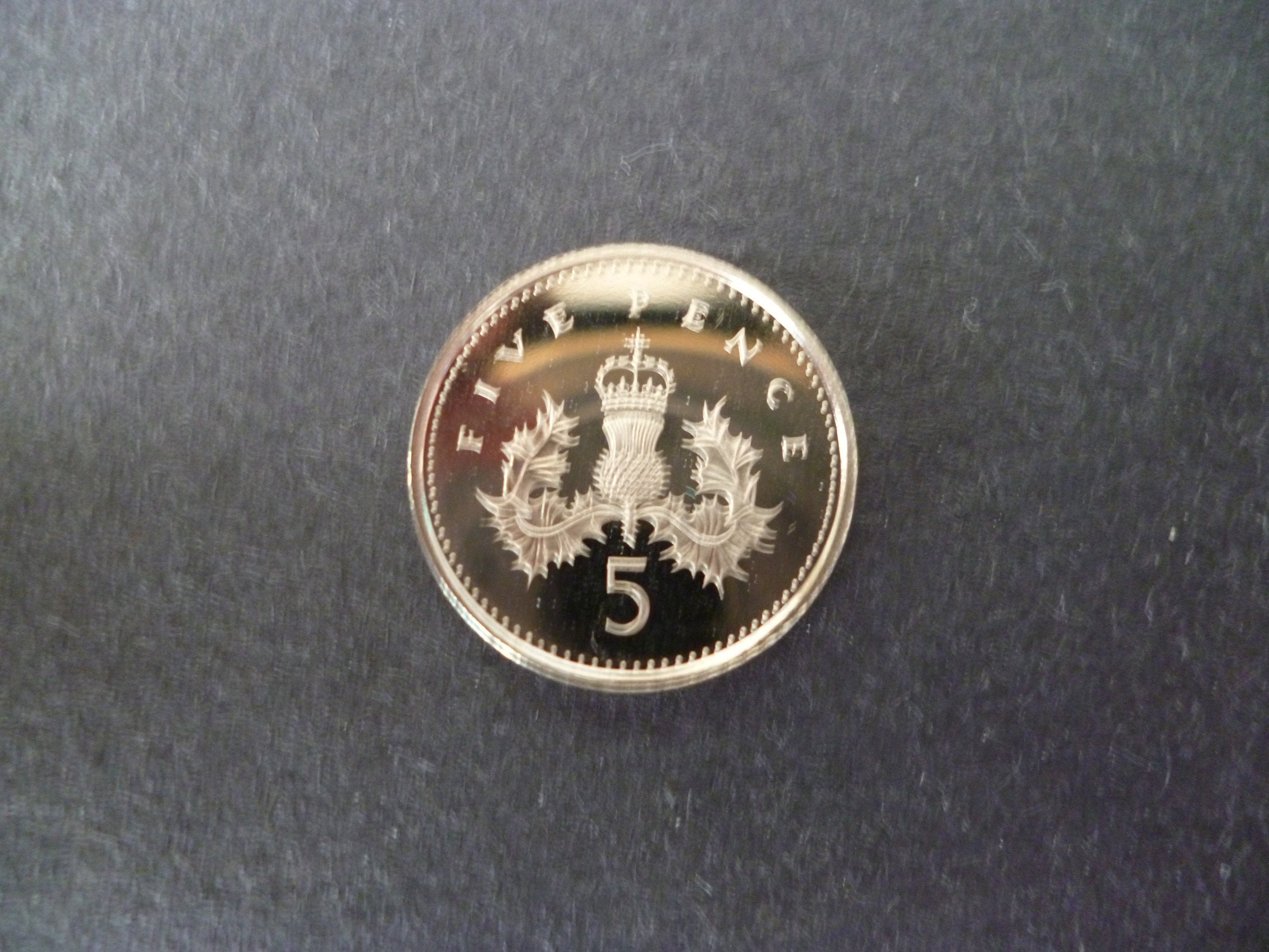 1991年英国5ペンス・プルーフ硬貨：ロイヤルミント・アザミデザイン 