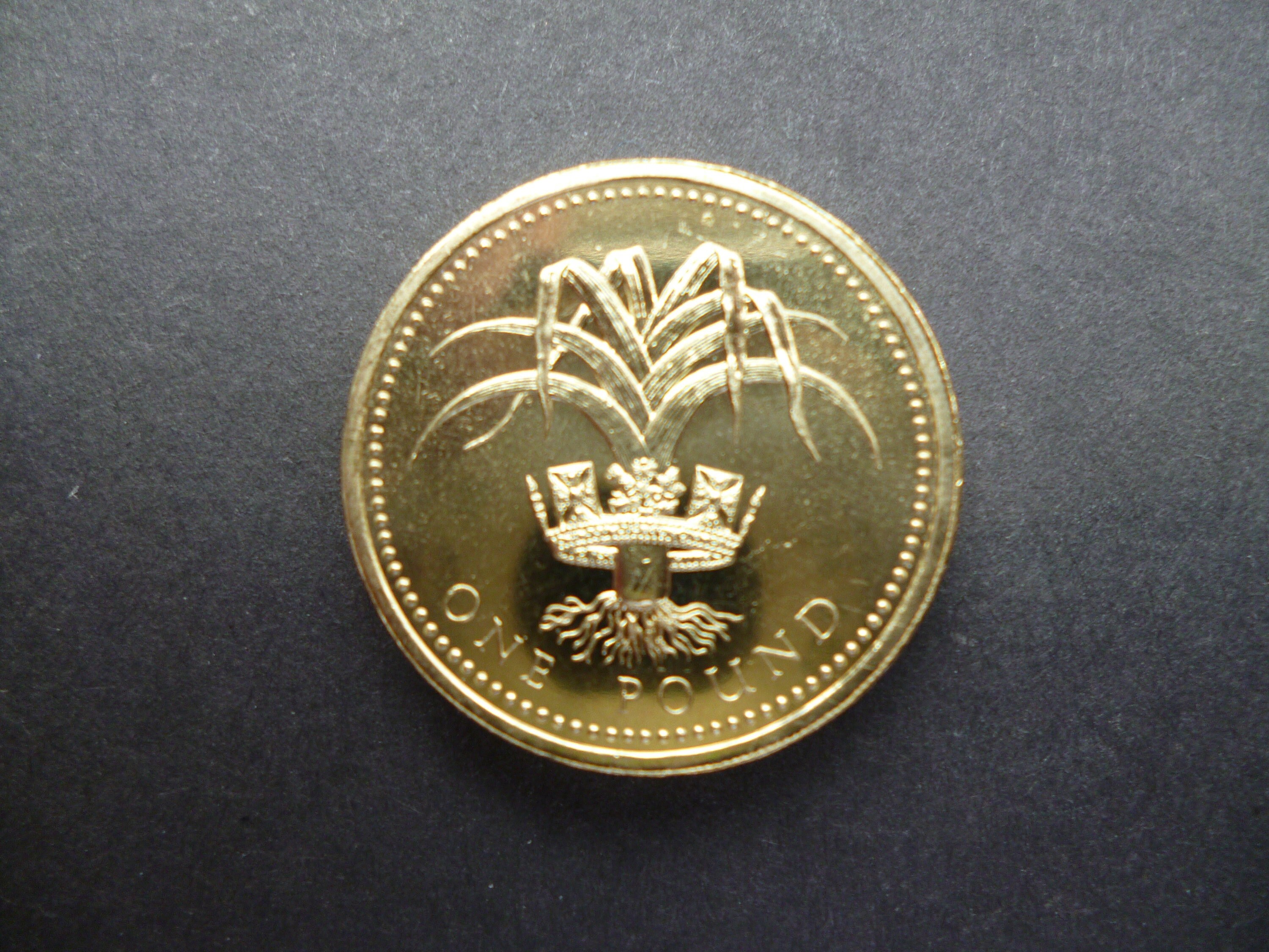 1990年英国1ポンド硬貨：ウェルシュ・リーク、宝飾品として未使用