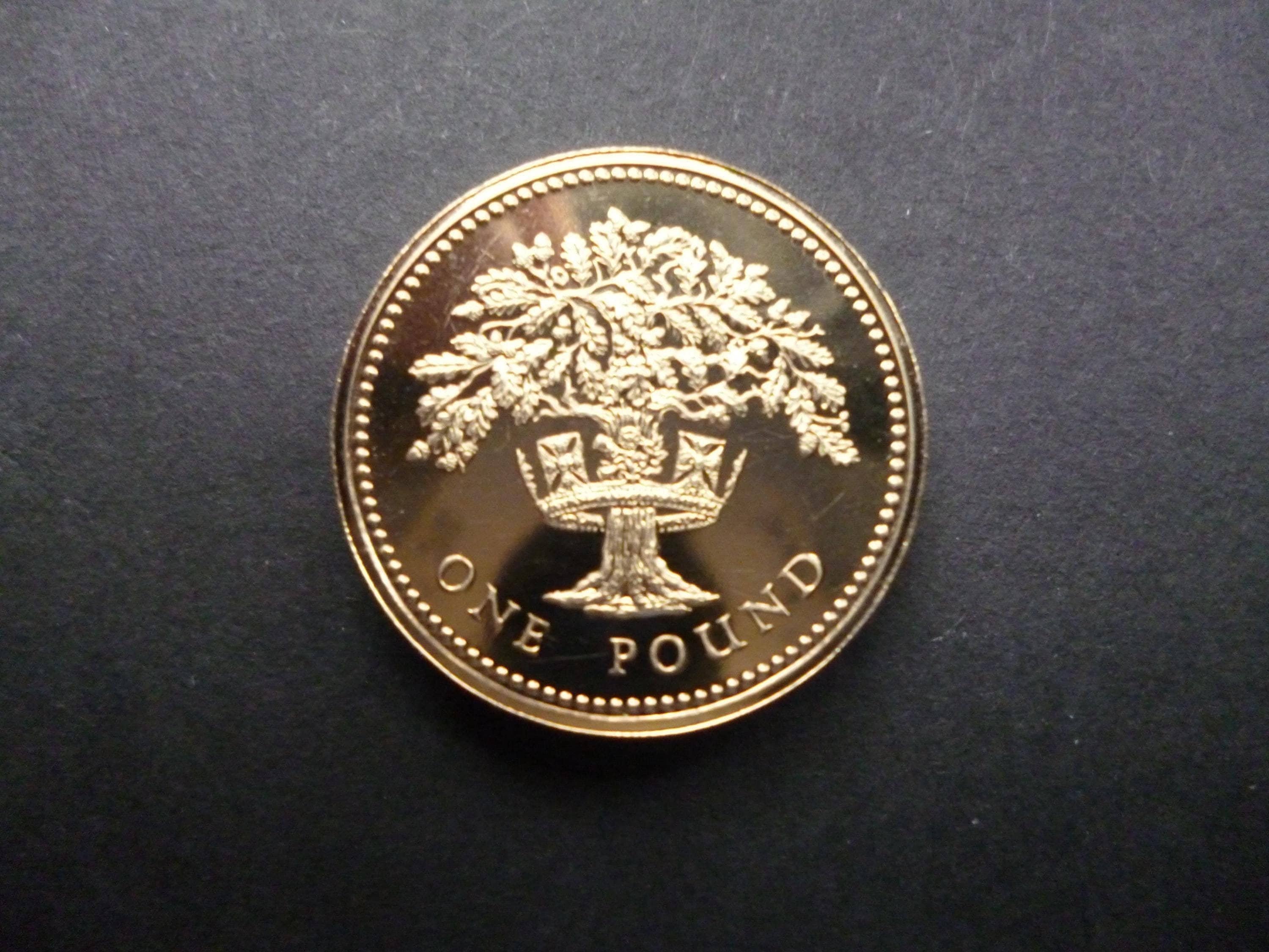 イギリスの硬貨1ポンドと20ぺんす 1987 1 pound coin - Etsy 日本