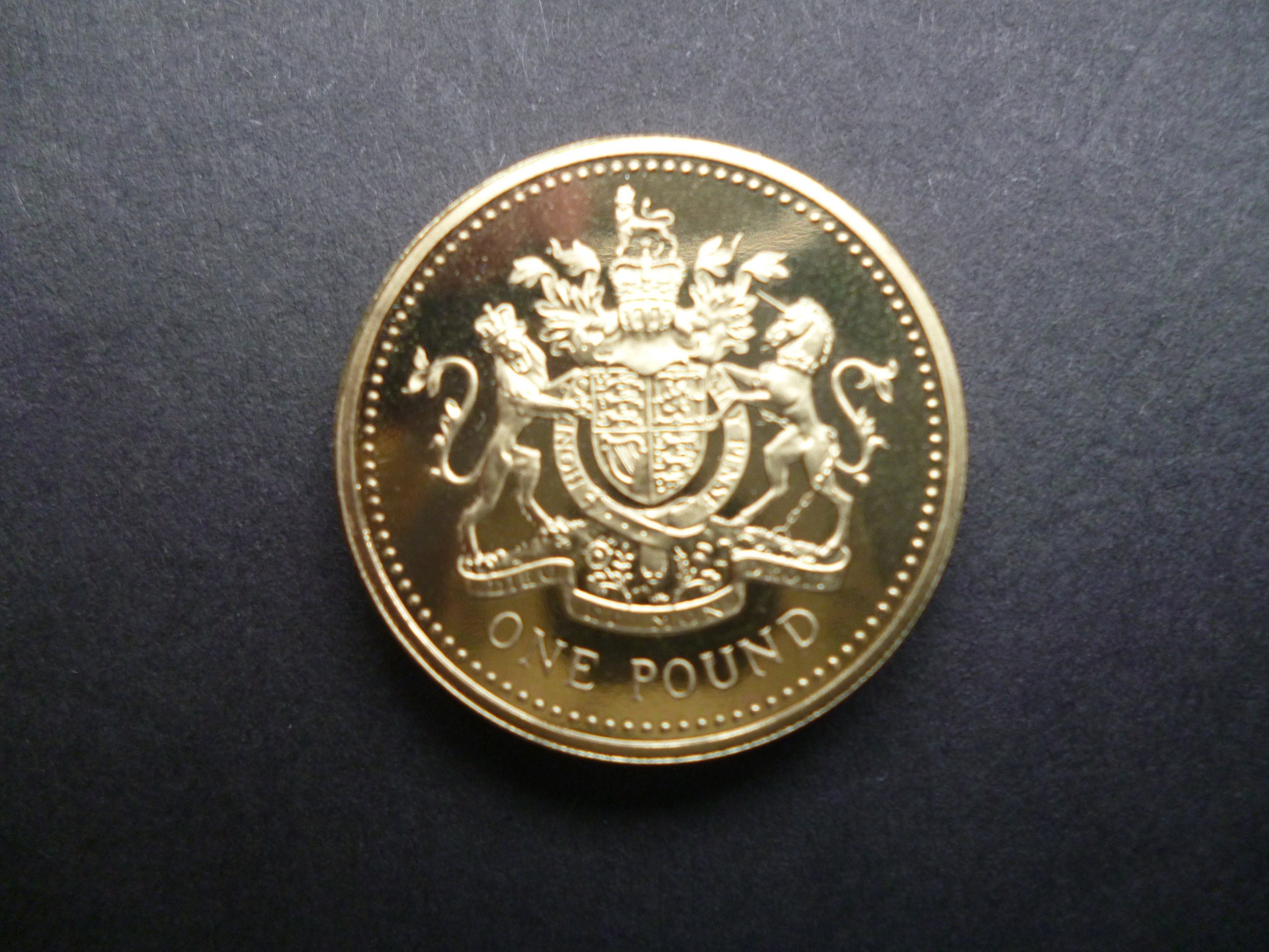 1993年英国王立造幣局1ポンド硬貨：エリザベス女王、王室紋章 - Etsy 日本