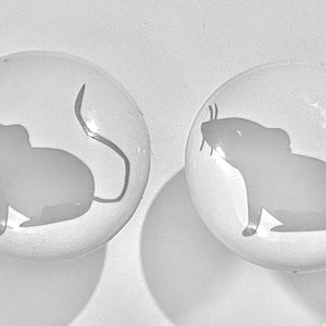 May include: Two white ceramic knobs with a gray silhouette of a mouse on each. The mouse is facing left and has a long tail.