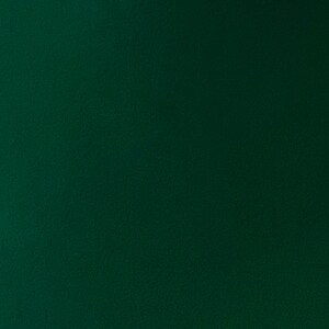 Peut inclure: Un fond vert uni avec une surface l&eacute;g&egrave;rement textur&eacute;e.