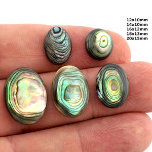 Peut inclure: Six cabochons ovales en coquille d'ormeau, de tailles variées, allant de 12x10mm à 20x15mm. Les coquilles présentent des couleurs irisées vertes, bleues et dorées, avec des motifs tourbillonnants uniques. Les cabochons sont présentés sur une main.