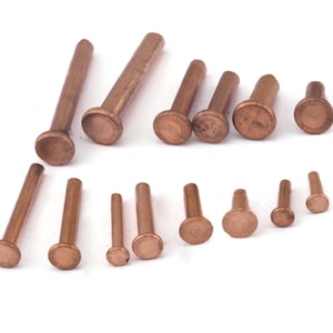 May include: A collection of copper rivets of various sizes. The rivets have a round head and a cylindrical shaft.