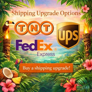 Europe Express Shipping (1-3 Days) - FedEx, UPS, TNT, DHL