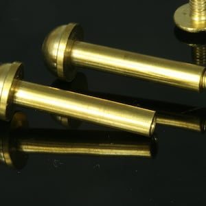 Könnte beinhalten: Zwei goldfarbene Metallschrauben mit runden Köpfen und einem Gewindeende. Die Schrauben liegen auf einer schwarzen Oberfläche.