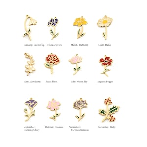 Pode incluir: Uma coleção de pingentes de flores douradas, cada um representando um mês de nascimento. Os pingentes apresentam várias flores como o lírio-do-vale, o íris, o narciso, a margarida, a rosa, a papoula e o azevinho. Cada pingente tem um design esmaltado colorido.