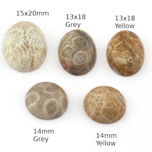 Coral Fossil ronde cabochon met ovale koepel 15 x 20 mm 13 x 18 mm 14 mm