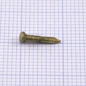 May include: A small, brass-colored nail with a rounded head and a pointed tip.