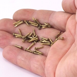 May include: A hand holding a pile of small, gold-colored tacks or nails.