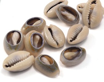 Natural Cowrie Shell Beads, Seashell Pendant Spacer (17mm-24mm) -2320
