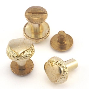 Heart screw rivets, chicago screw / concho screw, (10mm head) raw brass studs, 1/8" bolt CSC5 CSC8 R73 R143