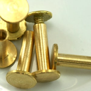 vite chicago / vite concho, prigionieri in ottone grezzo da 13 x 9 mm, rivetti a vite, bullone da 1/8" CSC12 045