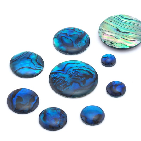 Paua Abolone Shell Round Gemstone Flat Back Cabochons 8 10 12 14 16 18 20 25 pas de trou