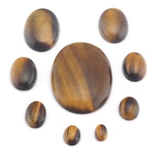 Puede incluir: Una colección de ocho piedras preciosas de ojo de tigre de forma ovalada en varios tamaños. Las piedras son de un color marrón intenso con reflejos dorados.