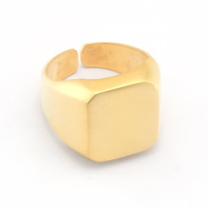 May include: A gold-colored signet ring with a square top.