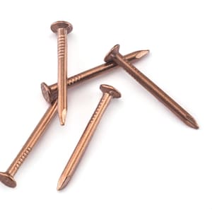 May include: Four copper-colored nails with rounded heads, lying on a white surface.