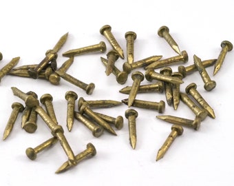 Raw Brass Escutcheon Pins, 1.5x10mm 2334-20