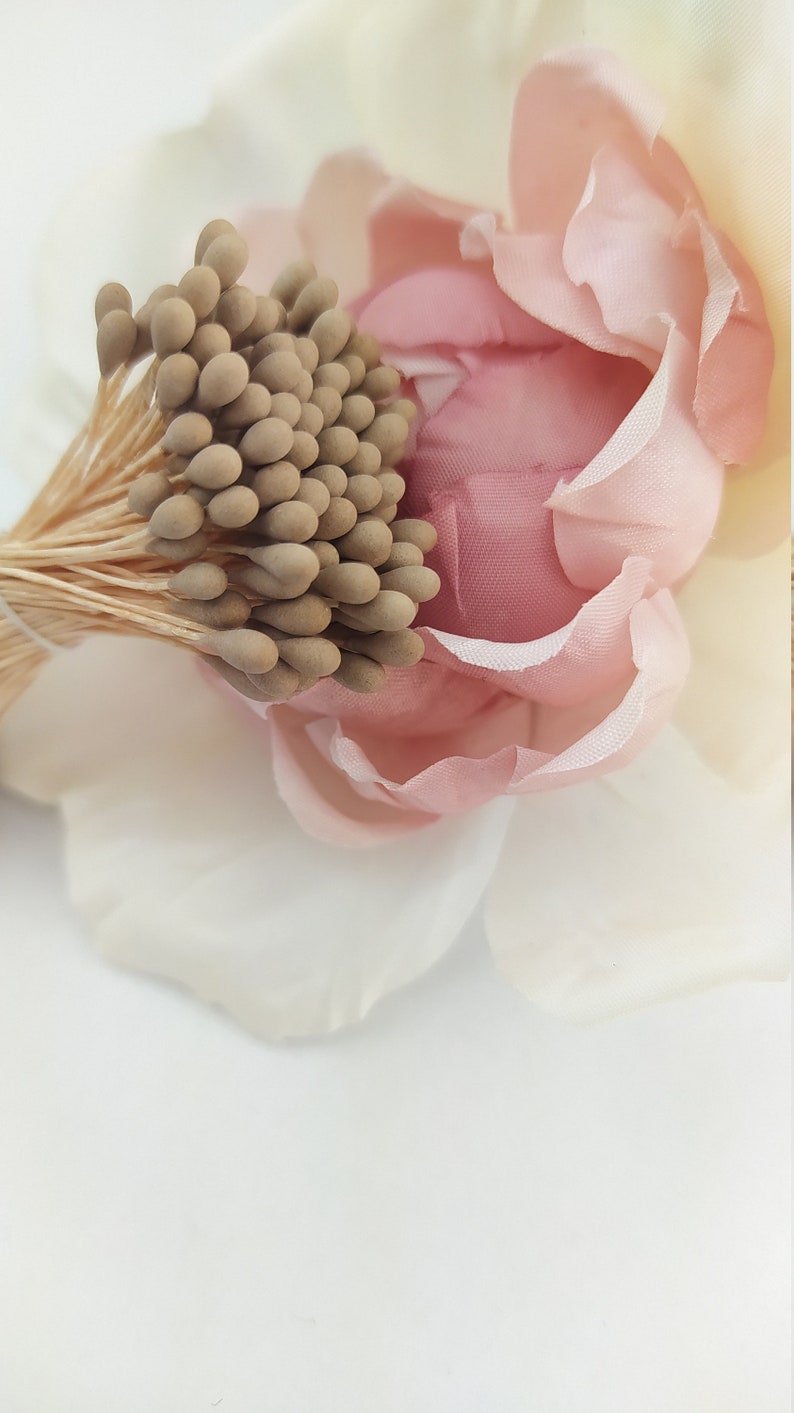 Flower Stamens Japan flowers peps