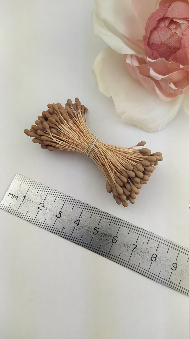 Flower Stamens Japan flowers peps