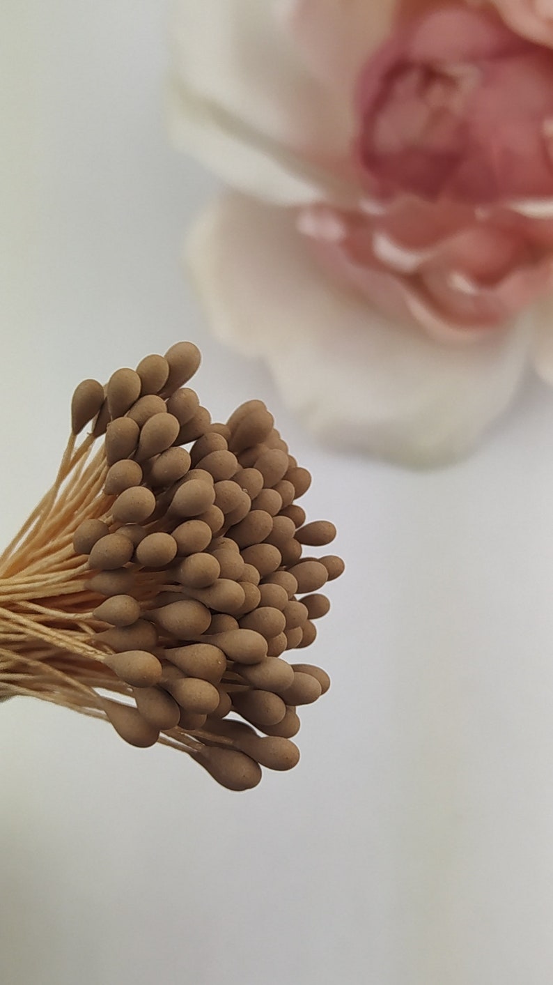Flower Stamens Japan flowers peps